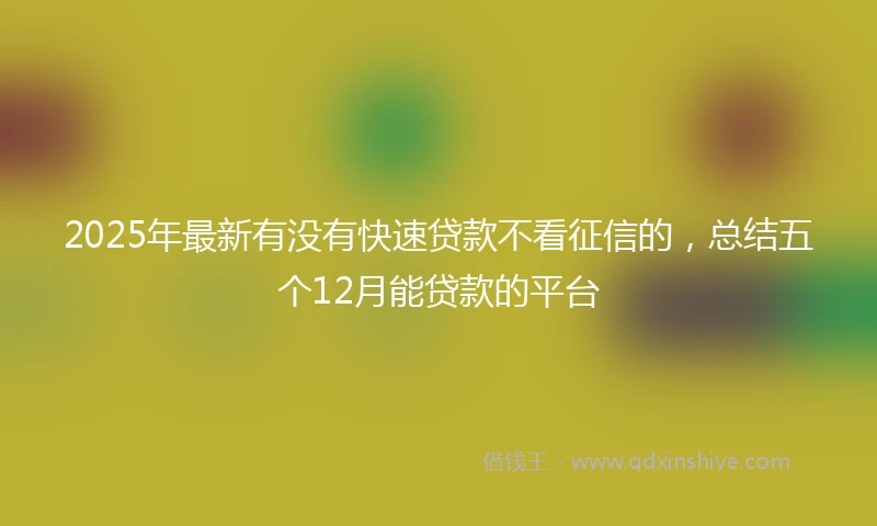 2025年最新有没有快速贷款不看征信的，总结五个12月能贷款的平台