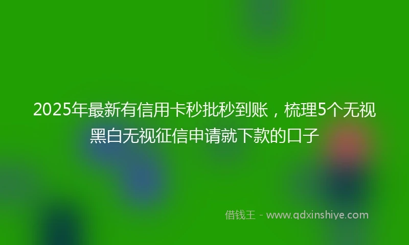 2025年最新有信用卡秒批秒到账，梳理5个无视黑白无视征信申请就下款的口子