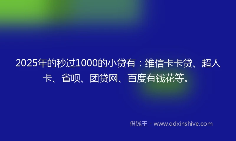 2025年的秒过1000的小贷有：维信卡卡贷、超人卡、省呗、团贷网、百度有钱花等。