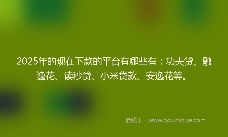 2025年的现在下款的平台有哪些有：功夫贷、融逸花、读秒贷、小米贷款、安逸花等。