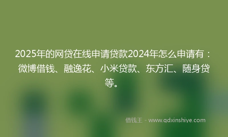 2025年的网贷在线申请贷款2024年怎么申请有：微博借钱、融逸花、小米贷款、东方汇、随身贷等。