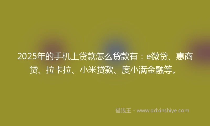 2025年的手机上贷款怎么贷款有：e微贷、惠商贷、拉卡拉、小米贷款、度小满金融等。