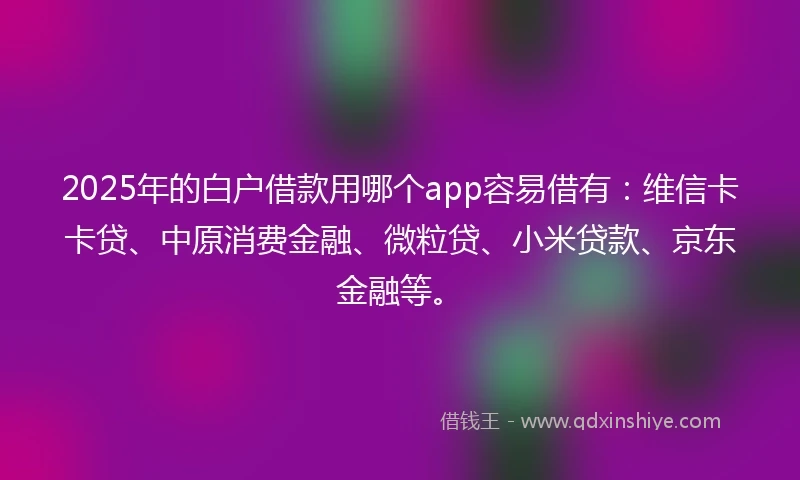 2025年的白户借款用哪个app容易借有:维信卡卡贷、中原消费金融、微粒贷、小米贷款、京东金融等。