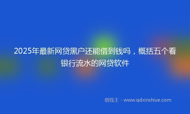 2025年最新网贷黑户还能借到钱吗，概括五个看银行流水的网贷软件