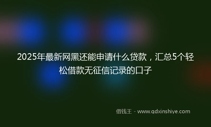 2025年最新网黑还能申请什么贷款，汇总5个轻松借款无征信记录的口子