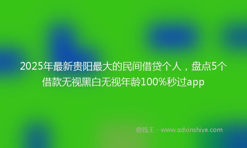 2025年最新贵阳最大的民间借贷个人，盘点5个借款无视黑白无视年龄100%秒过app