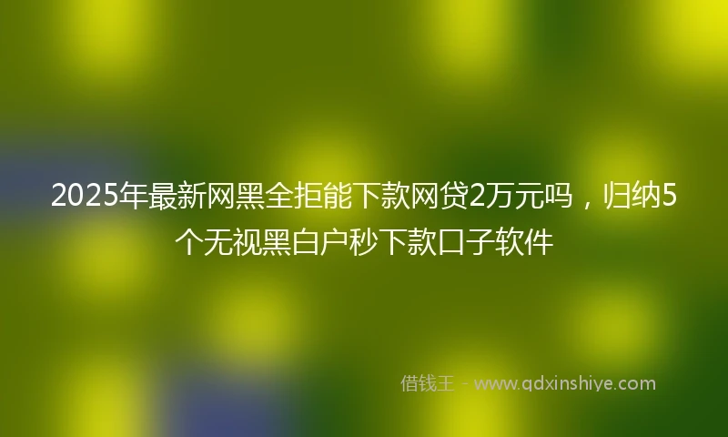 2025年最新网黑全拒能下款网贷2万元吗，归纳5个无视黑白户秒下款口子软件