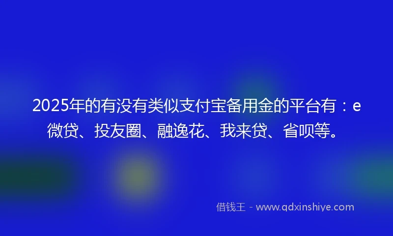 2025年的有没有类似支付宝备用金的平台有：e微贷、投友圈、融逸花、我来贷、省呗等。