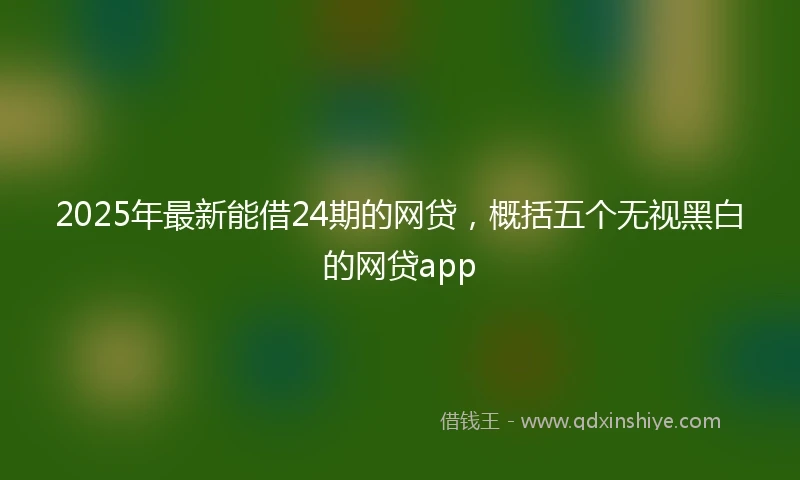 2025年最新能借24期的网贷，概括五个无视黑白的网贷app