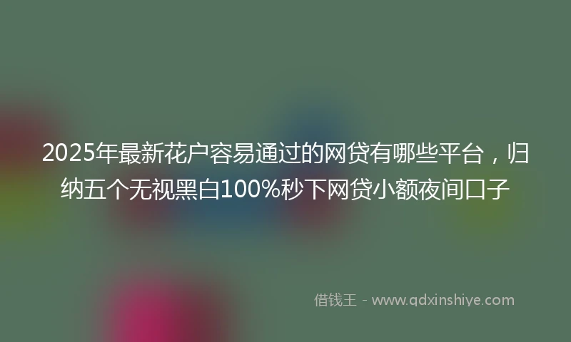 2025年最新花户容易通过的网贷有哪些平台，归纳五个无视黑白100%秒下网贷小额夜间口子