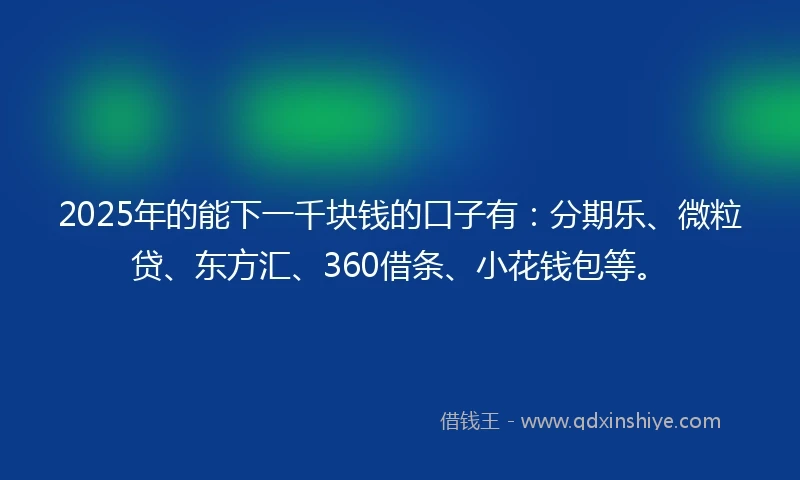 2025年的能下一千块钱的口子有：分期乐、微粒贷、东方汇、360借条、小花钱包等。