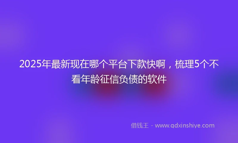 2025年最新现在哪个平台下款快啊，梳理5个不看年龄征信负债的软件