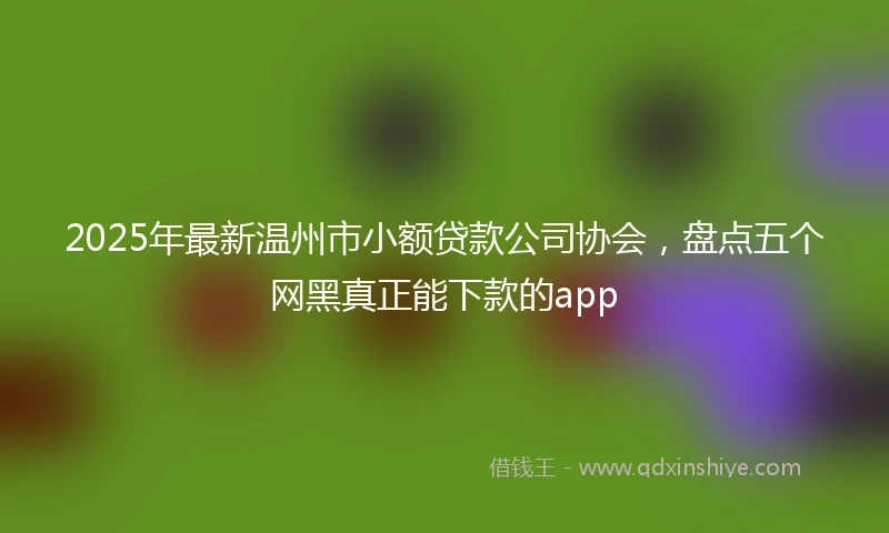 2025年最新温州市小额贷款公司协会，盘点五个网黑真正能下款的app