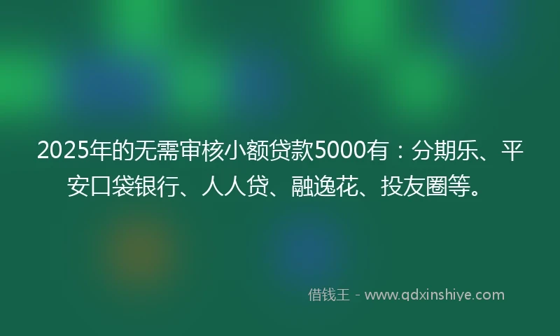 2025年的无需审核小额贷款5000有：分期乐、平安口袋银行、人人贷、融逸花、投友圈等。
