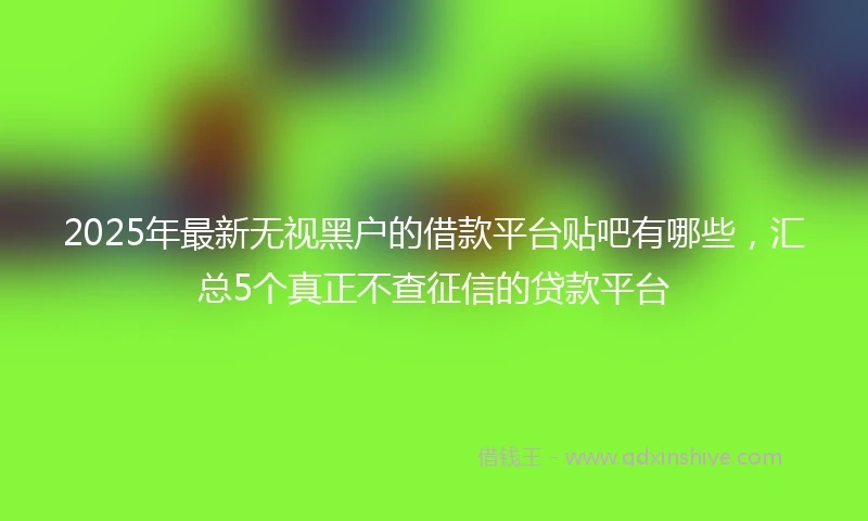 2025年最新无视黑户的借款平台贴吧有哪些，汇总5个真正不查征信的贷款平台
