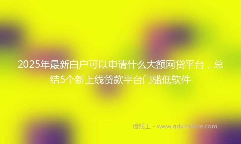 2025年最新白户可以申请什么大额网贷平台，总结5个新上线贷款平台门槛低软件