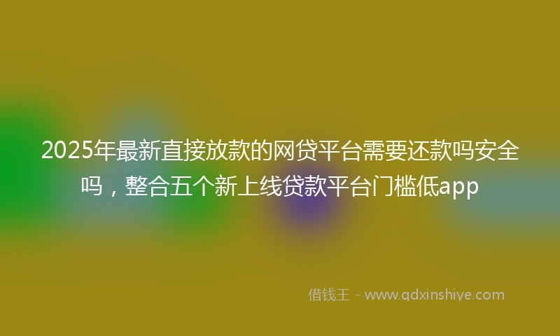 2025年最新直接放款的网贷平台需要还款吗安全吗，整合五个新上线贷款平台门槛低app