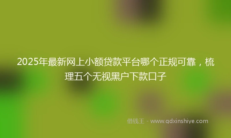 2025年最新网上小额贷款平台哪个正规可靠，梳理五个无视黑户下款口子
