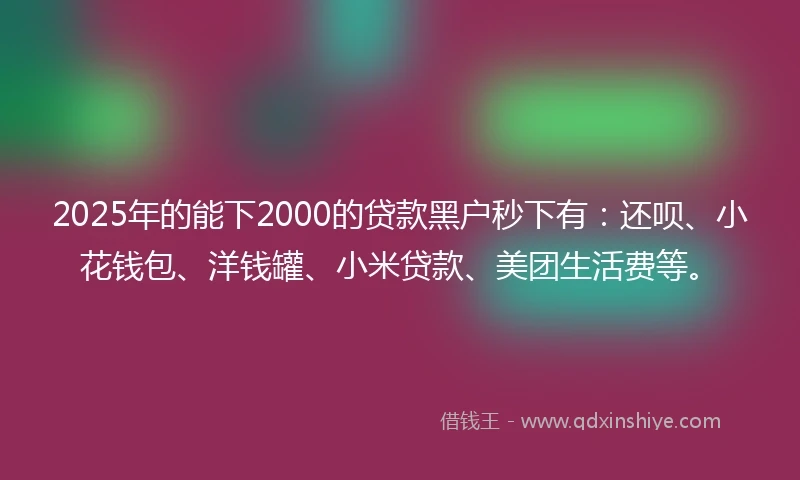 2025年的能下2000的贷款黑户秒下有：还呗、小花钱包、洋钱罐、小米贷款、美团生活费等。