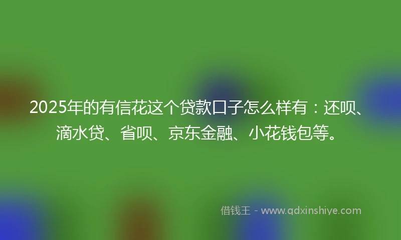2025年的有信花这个贷款口子怎么样有：还呗、滴水贷、省呗、京东金融、小花钱包等。