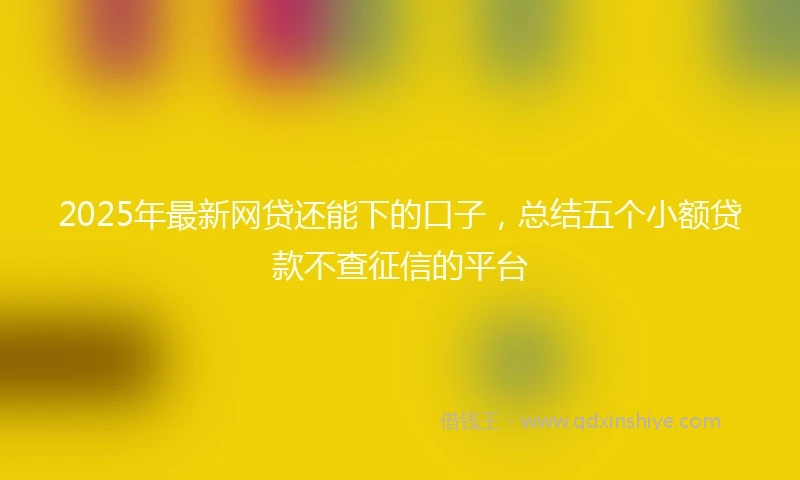 2025年最新网贷还能下的口子，总结五个小额贷款不查征信的平台