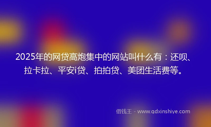 2025年的网贷高炮集中的网站叫什么有：还呗、拉卡拉、平安i贷、拍拍贷、美团生活费等。