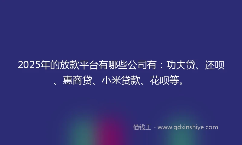 2025年的放款平台有哪些公司有：功夫贷、还呗、惠商贷、小米贷款、花呗等。