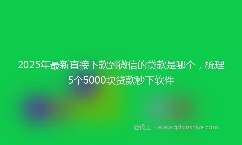 2025年最新直接下款到微信的贷款是哪个，梳理5个5000块贷款秒下软件