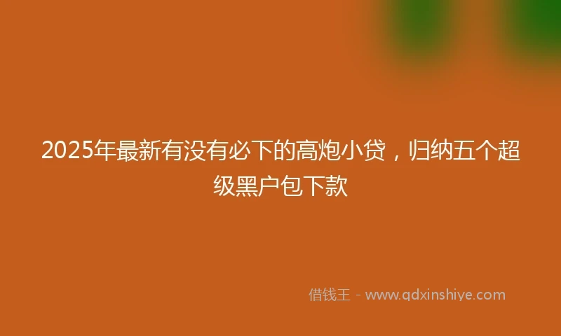 2025年最新有没有必下的高炮小贷，归纳五个超级黑户包下款