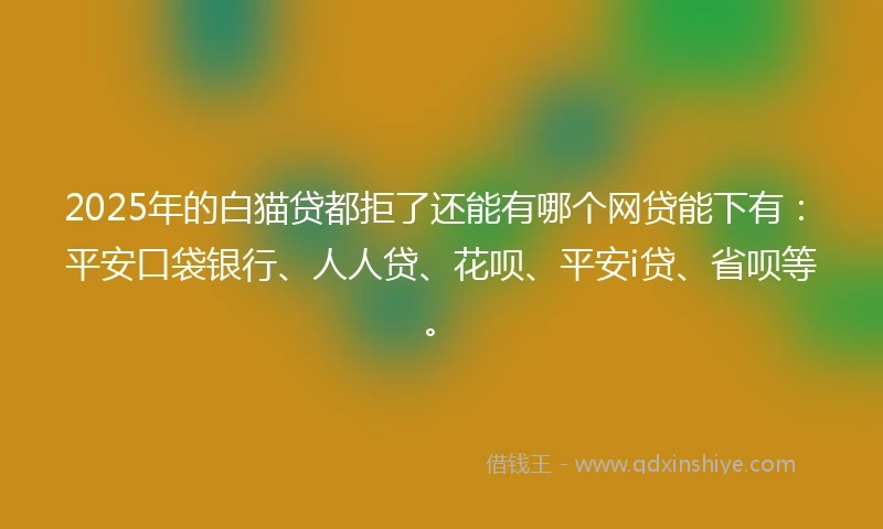 2025年的白猫贷都拒了还能有哪个网贷能下有：平安口袋银行、人人贷、花呗、平安i贷、省呗等。