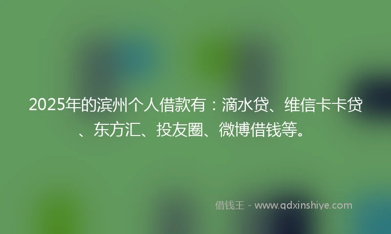 2025年的滨州个人借款有：滴水贷、维信卡卡贷、东方汇、投友圈、微博借钱等。