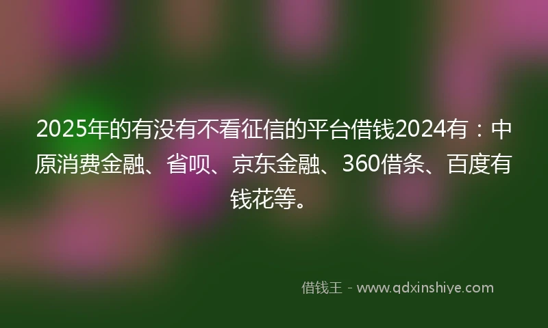 2025年的有没有不看征信的平台借钱2024有：中原消费金融、省呗、京东金融、360借条、百度有钱花等。