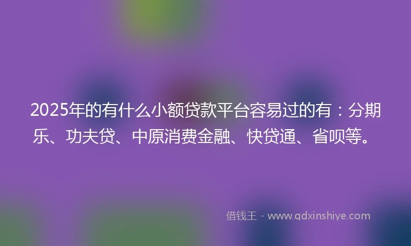 2025年的有什么小额贷款平台容易过的有：分期乐、功夫贷、中原消费金融、快贷通、省呗等。