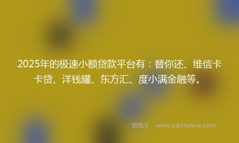 2025年的极速小额贷款平台有：替你还、维信卡卡贷、洋钱罐、东方汇、度小满金融等。