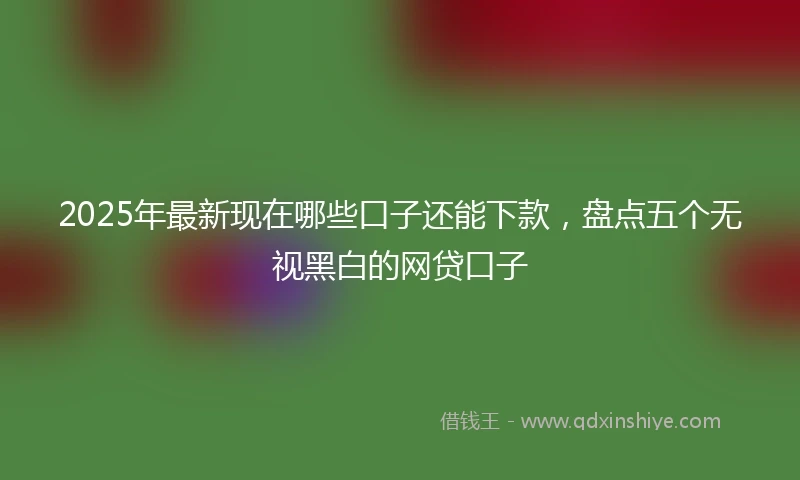 2025年最新现在哪些口子还能下款，盘点五个无视黑白的网贷口子