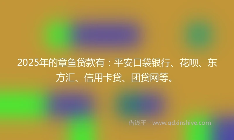 2025年的章鱼贷款有：平安口袋银行、花呗、东方汇、信用卡贷、团贷网等。