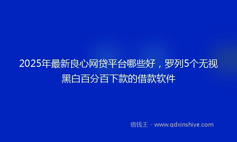 2025年最新良心网贷平台哪些好，罗列5个无视黑白百分百下款的借款软件