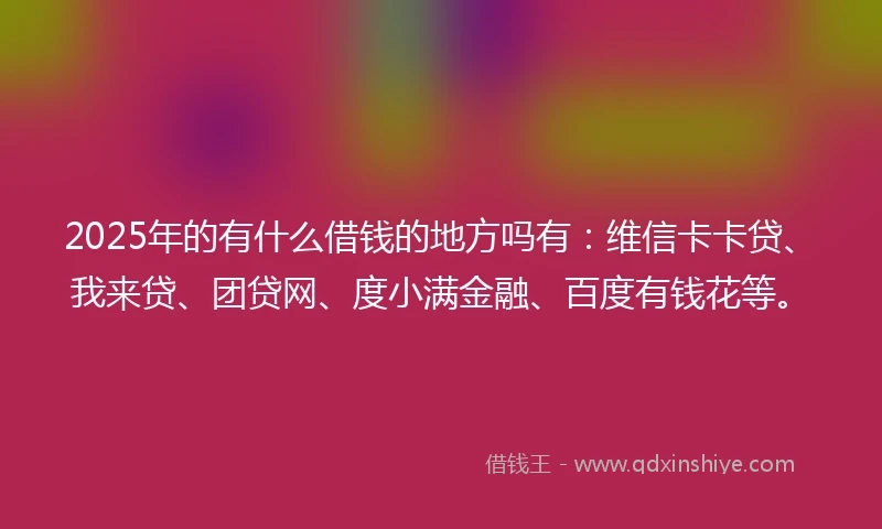 2025年的有什么借钱的地方吗有：维信卡卡贷、我来贷、团贷网、度小满金融、百度有钱花等。