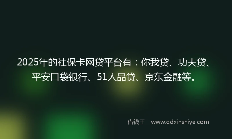 2025年的社保卡网贷平台有：你我贷、功夫贷、平安口袋银行、51人品贷、京东金融等。