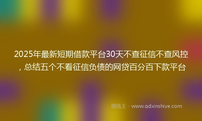 2025年最新短期借款平台30天不查征信不查风控，总结五个不看征信负债的网贷百分百下款平台