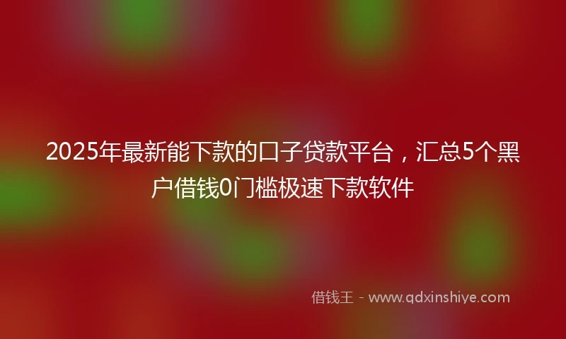 2025年最新能下款的口子贷款平台,汇总5个黑户借钱0门槛极速下款软件