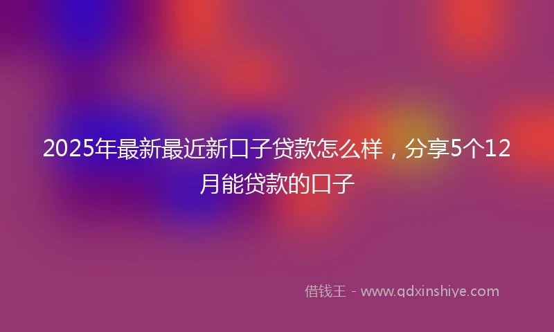 2025年最新最近新口子贷款怎么样，分享5个12月能贷款的口子