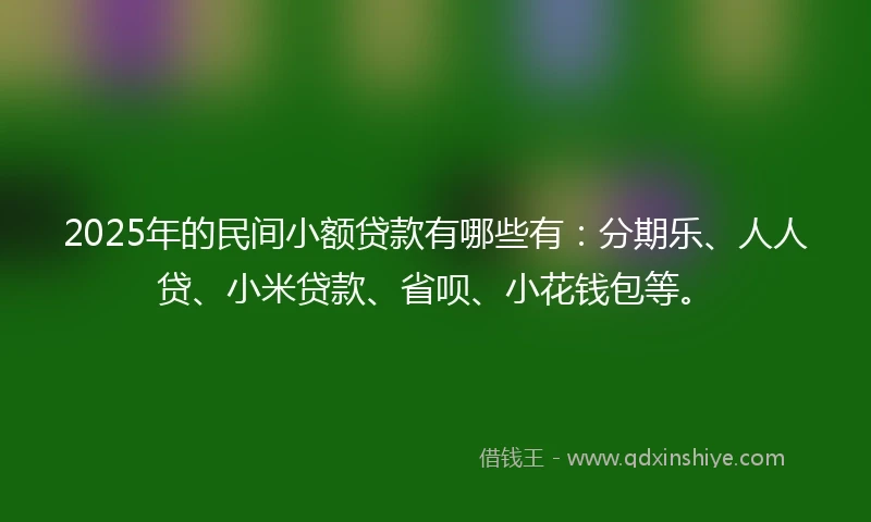 2025年的民间小额贷款有哪些有：分期乐、人人贷、小米贷款、省呗、小花钱包等。