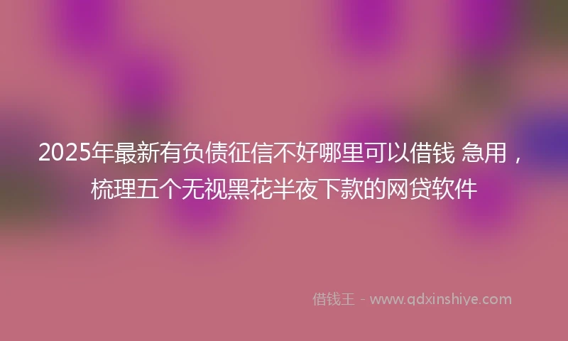 2025年最新有负债征信不好哪里可以借钱 急用，梳理五个无视黑花半夜下款的网贷软件