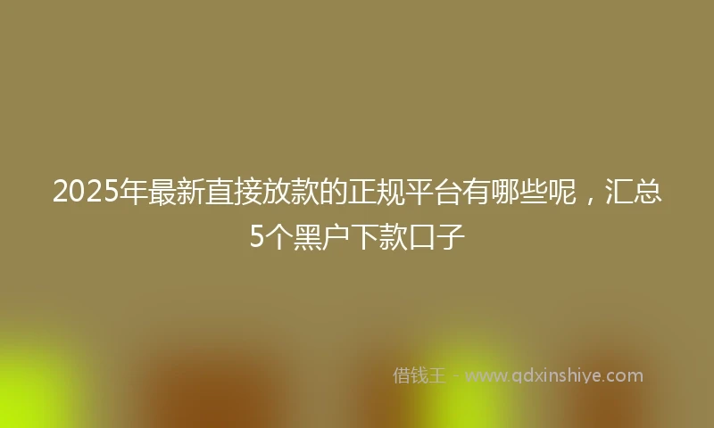 2025年最新直接放款的正规平台有哪些呢，汇总5个黑户下款口子