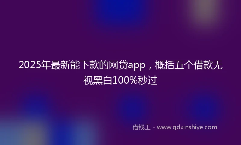 2025年最新能下款的网贷app，概括五个借款无视黑白100%秒过
