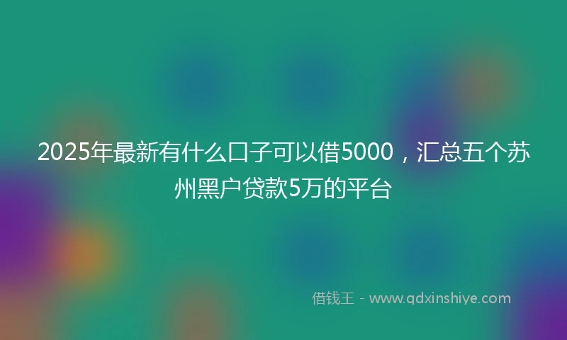 2025年最新有什么口子可以借5000，汇总五个苏州黑户贷款5万的平台