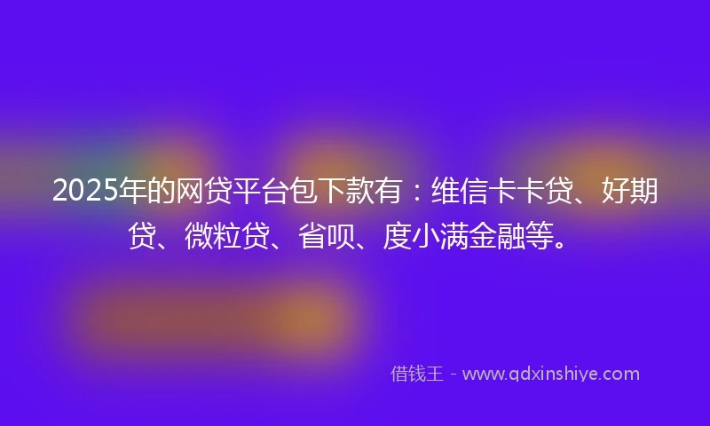 2025年的网贷平台包下款有：维信卡卡贷、好期贷、微粒贷、省呗、度小满金融等。