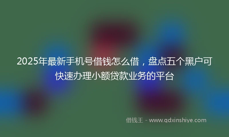 2025年最新手机号借钱怎么借，盘点五个黑户可快速办理小额贷款业务的平台