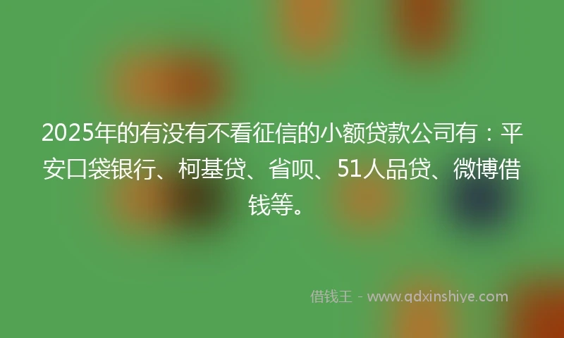 2025年的有没有不看征信的小额贷款公司有：平安口袋银行、柯基贷、省呗、51人品贷、微博借钱等。